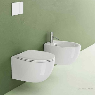 Inbagno WC sospeso per disabili con Apertura Frontale, H. 37 cm, Design  ergonomico in Ceramica Bianca Lucida : : Fai da te